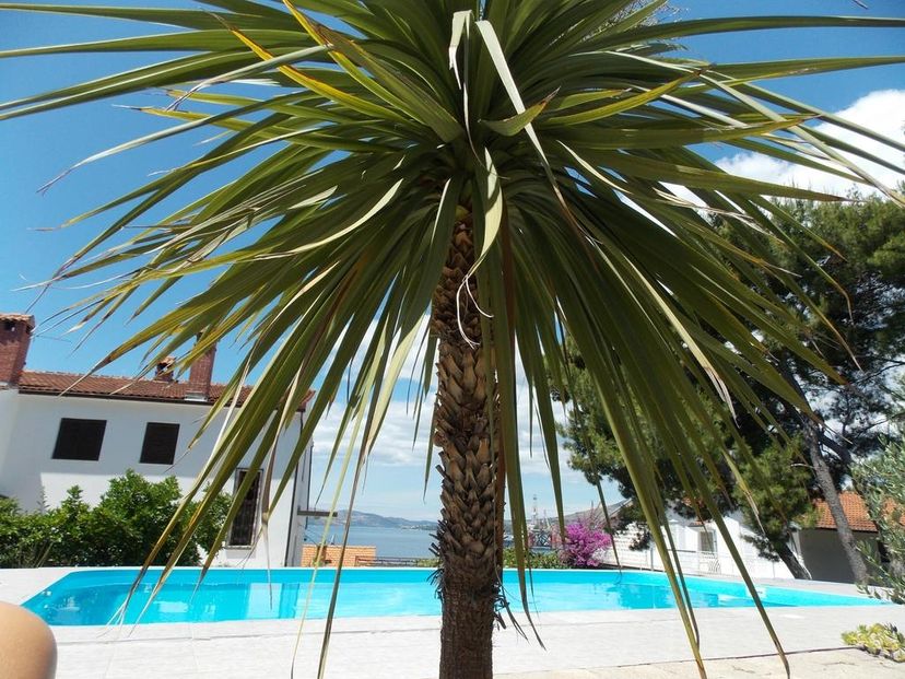 Apartment in Croatia, Trogir