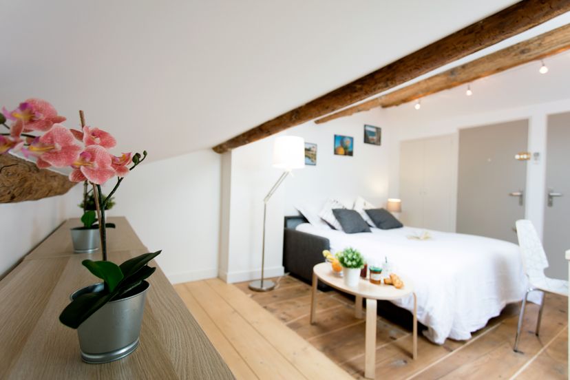 Studio_apartment in Méditerranée, the South of France