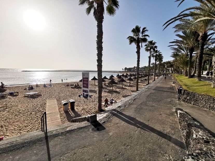 Apartment in Playa de las Américas, Tenerife