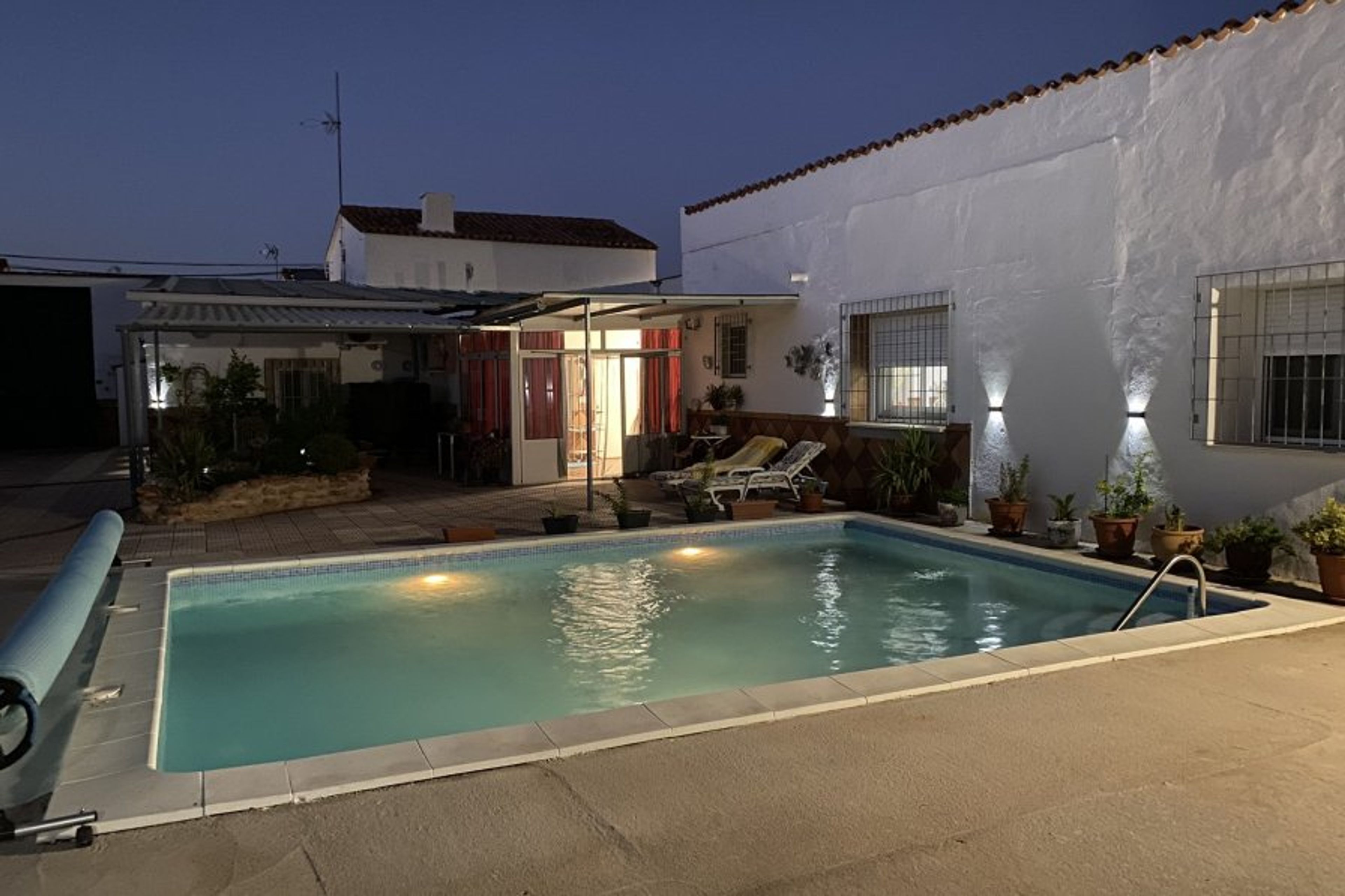 Pool at night view from pergola