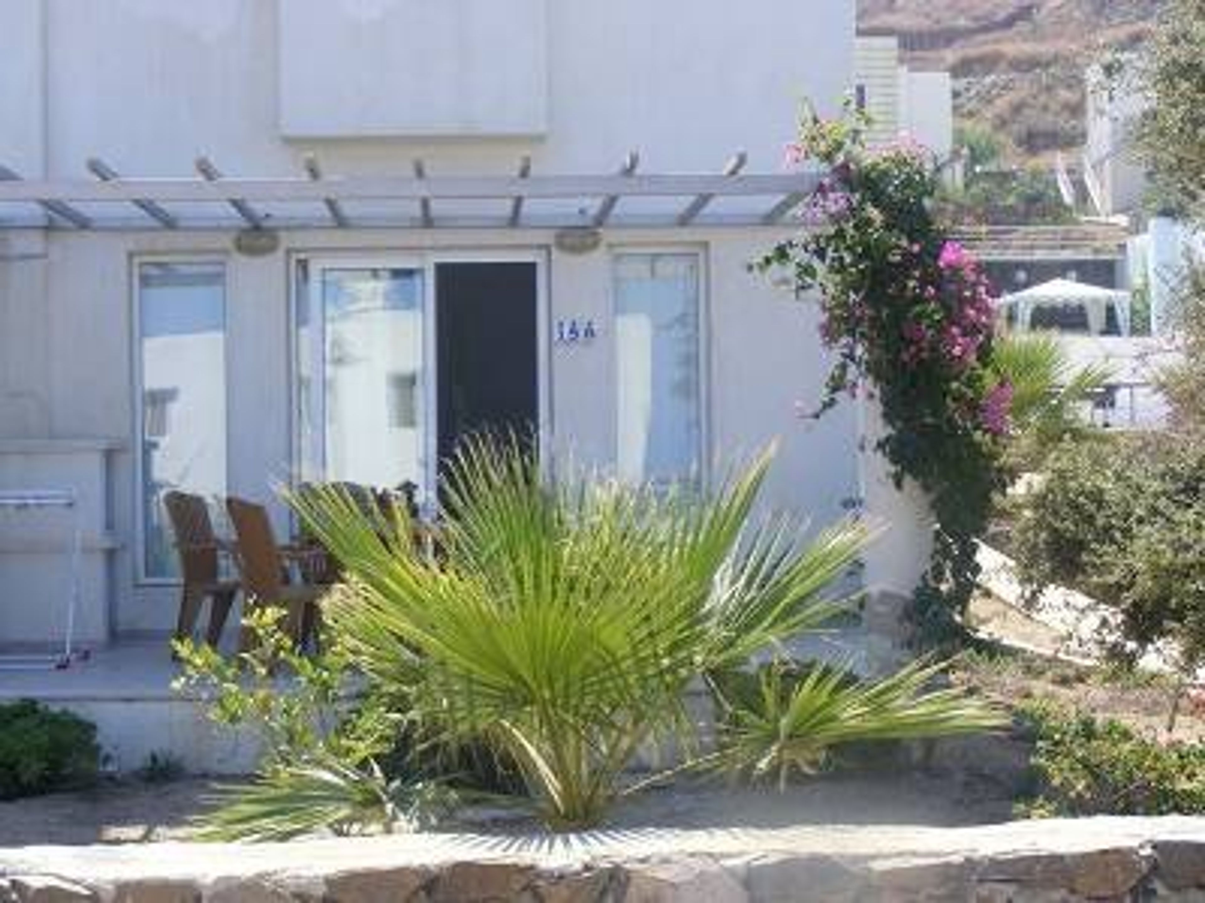 garden and overhanging bourgainvilla