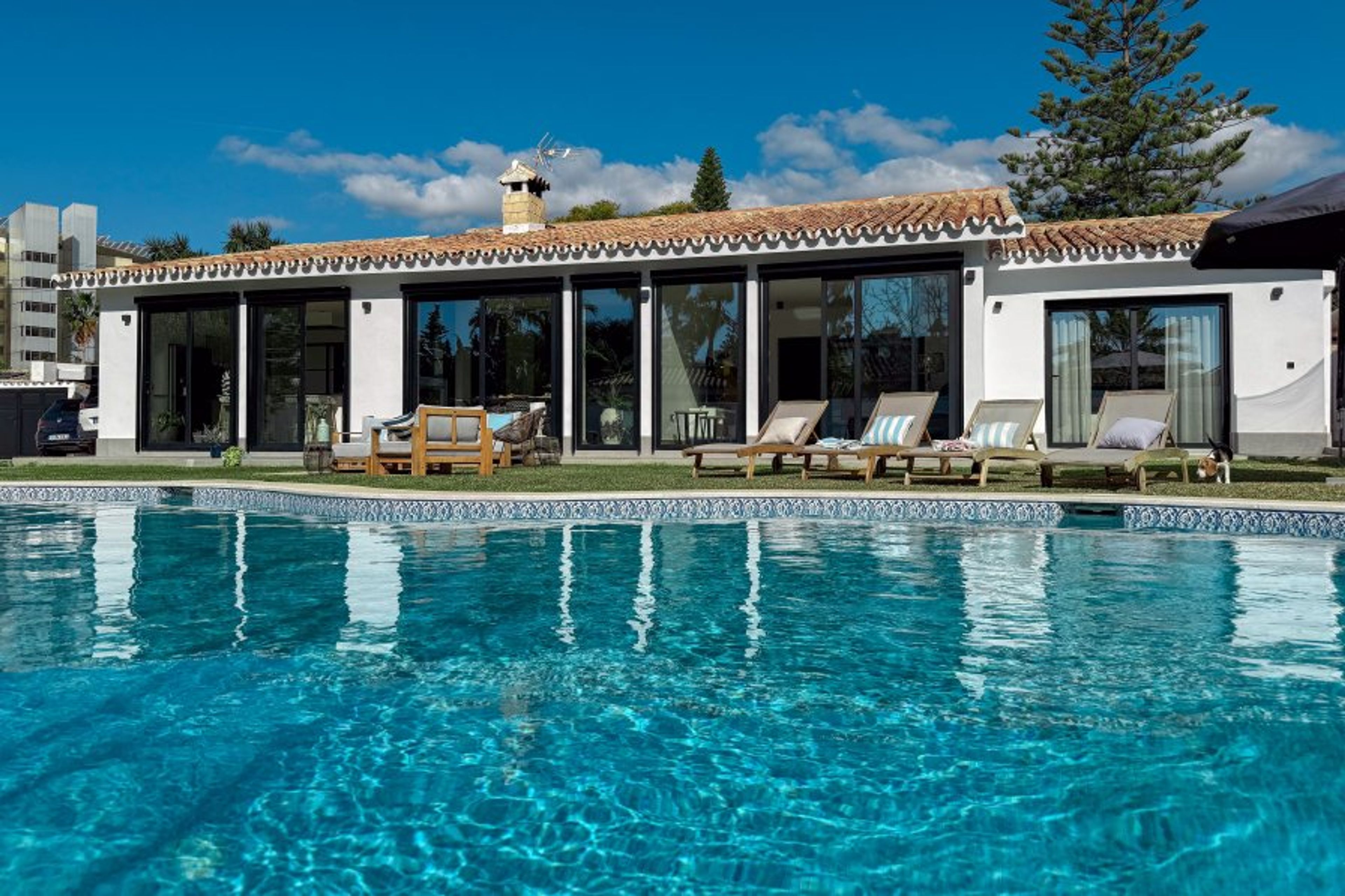 Pool & garden area.