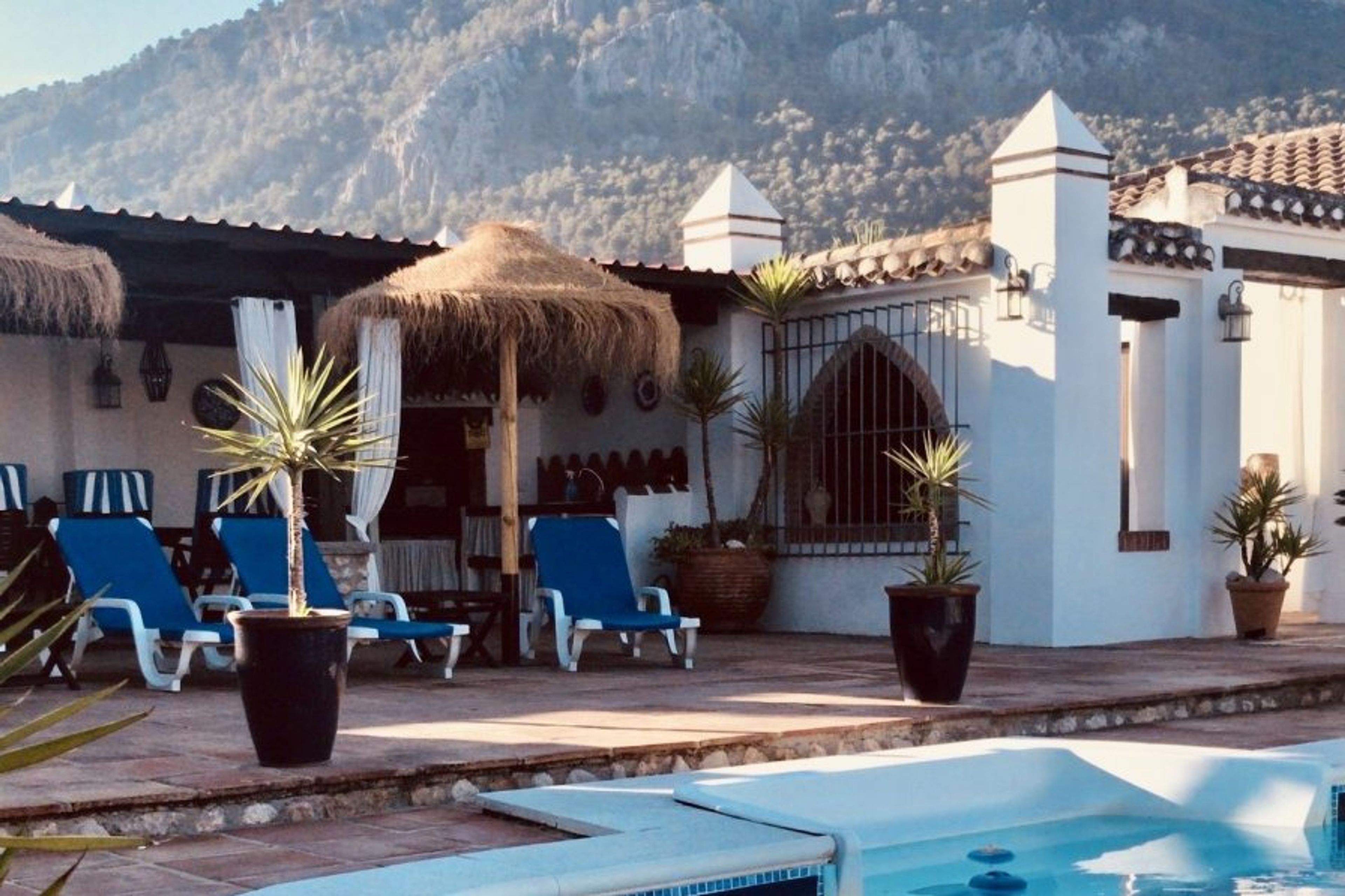 shaded area near the main pool