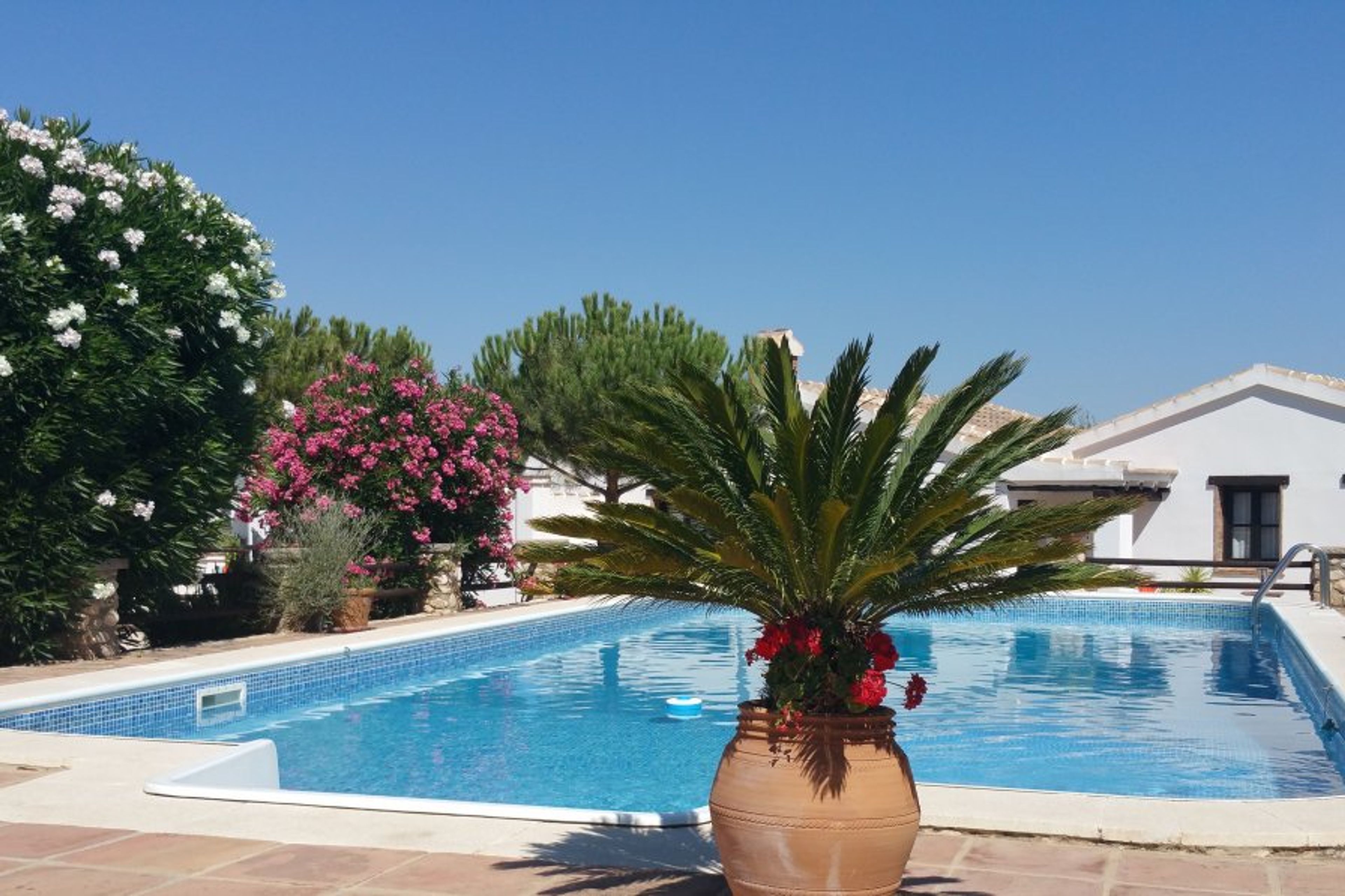 View across the main pool