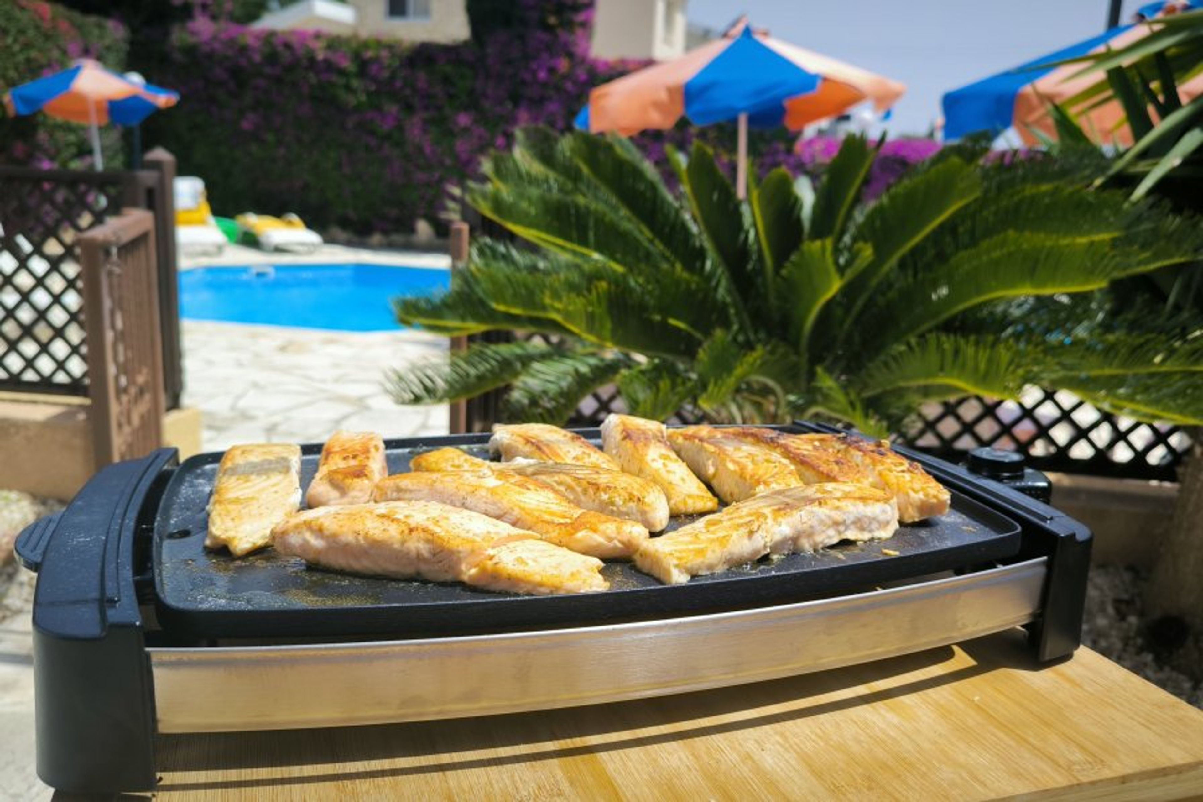 Fishes & the pool
