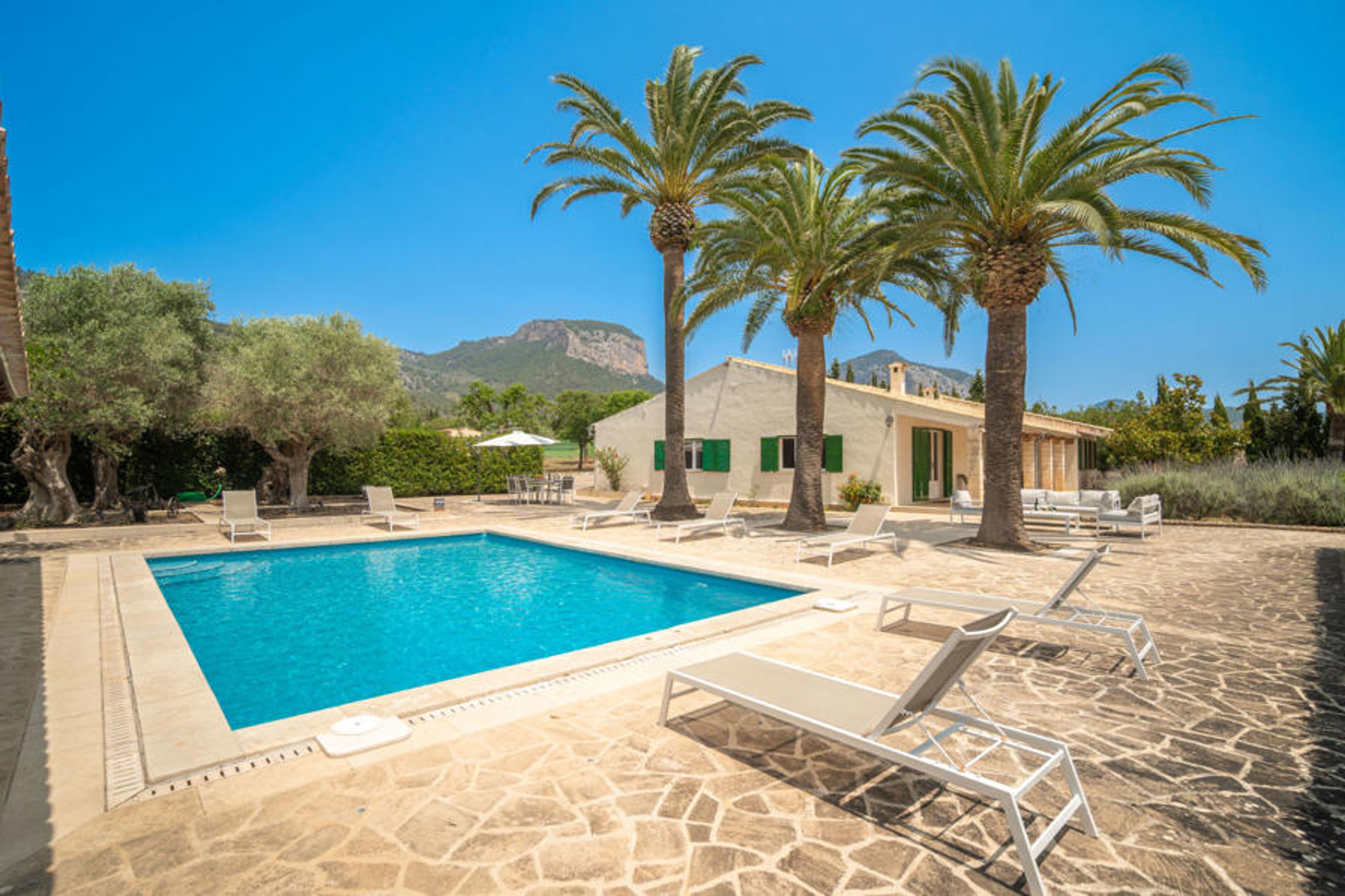 Pool Outdoor
