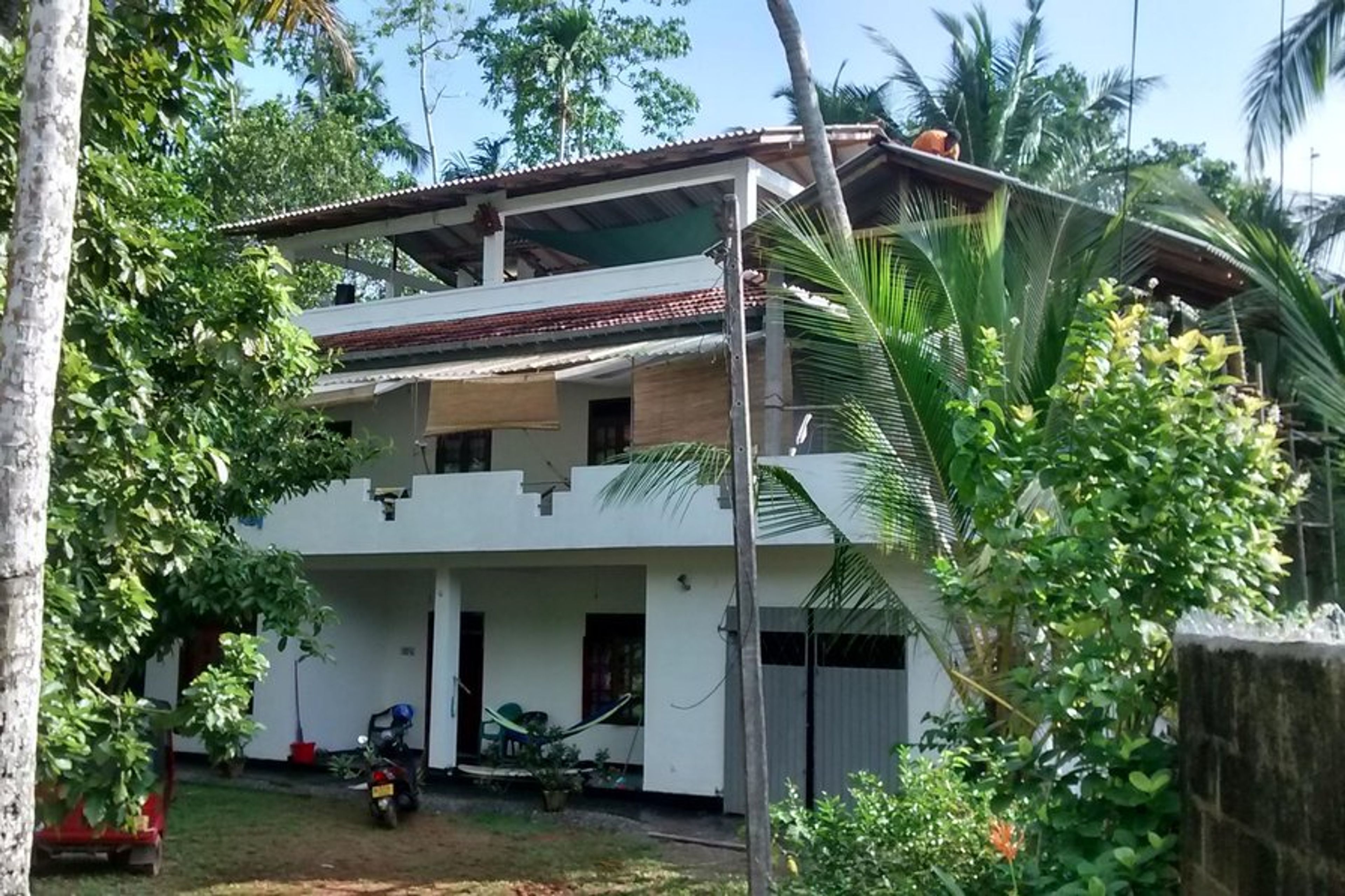 Front Elevation jungleside house