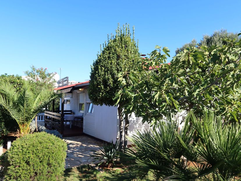 Villa in Vir, Croatia