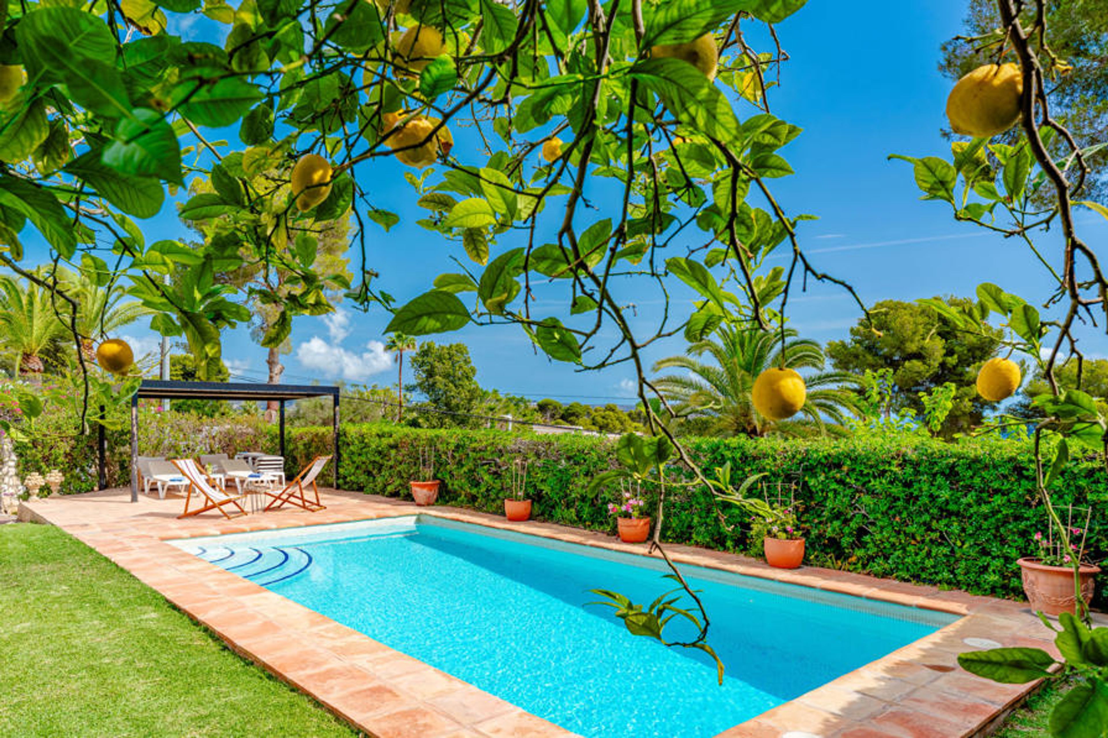 Pool Outdoor