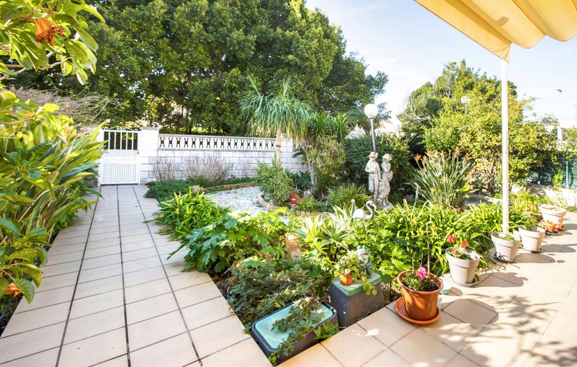 Apartment in Spain, Playa Oliva
