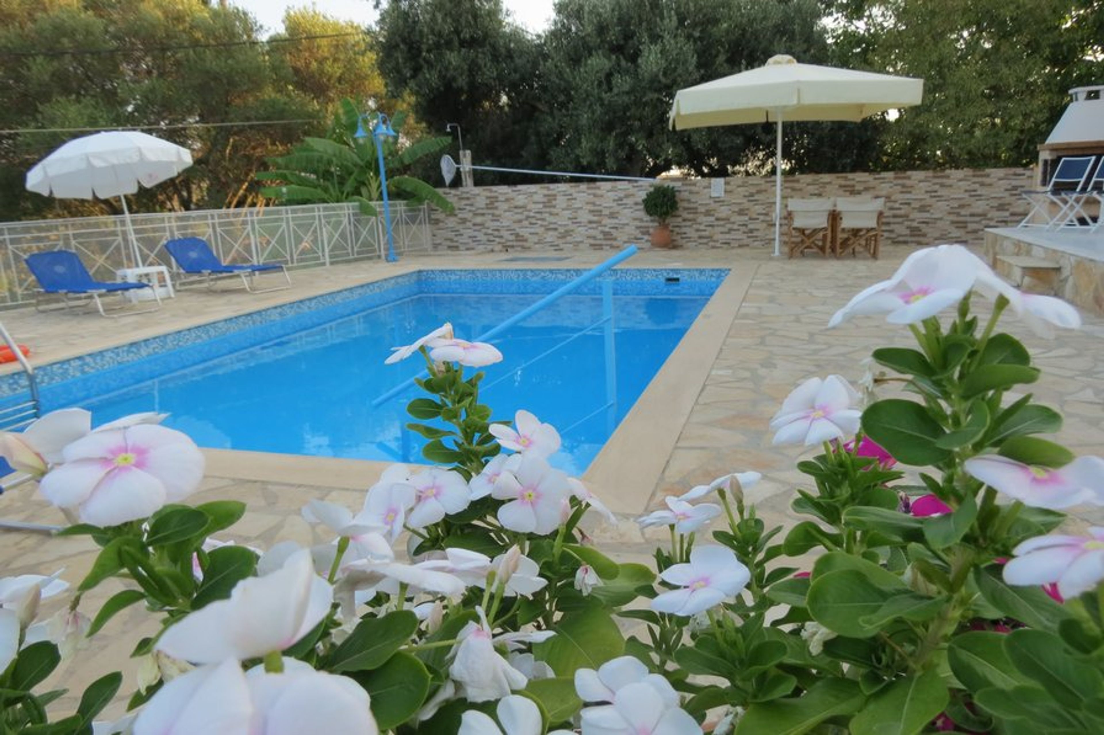Villa Asterea Poolside