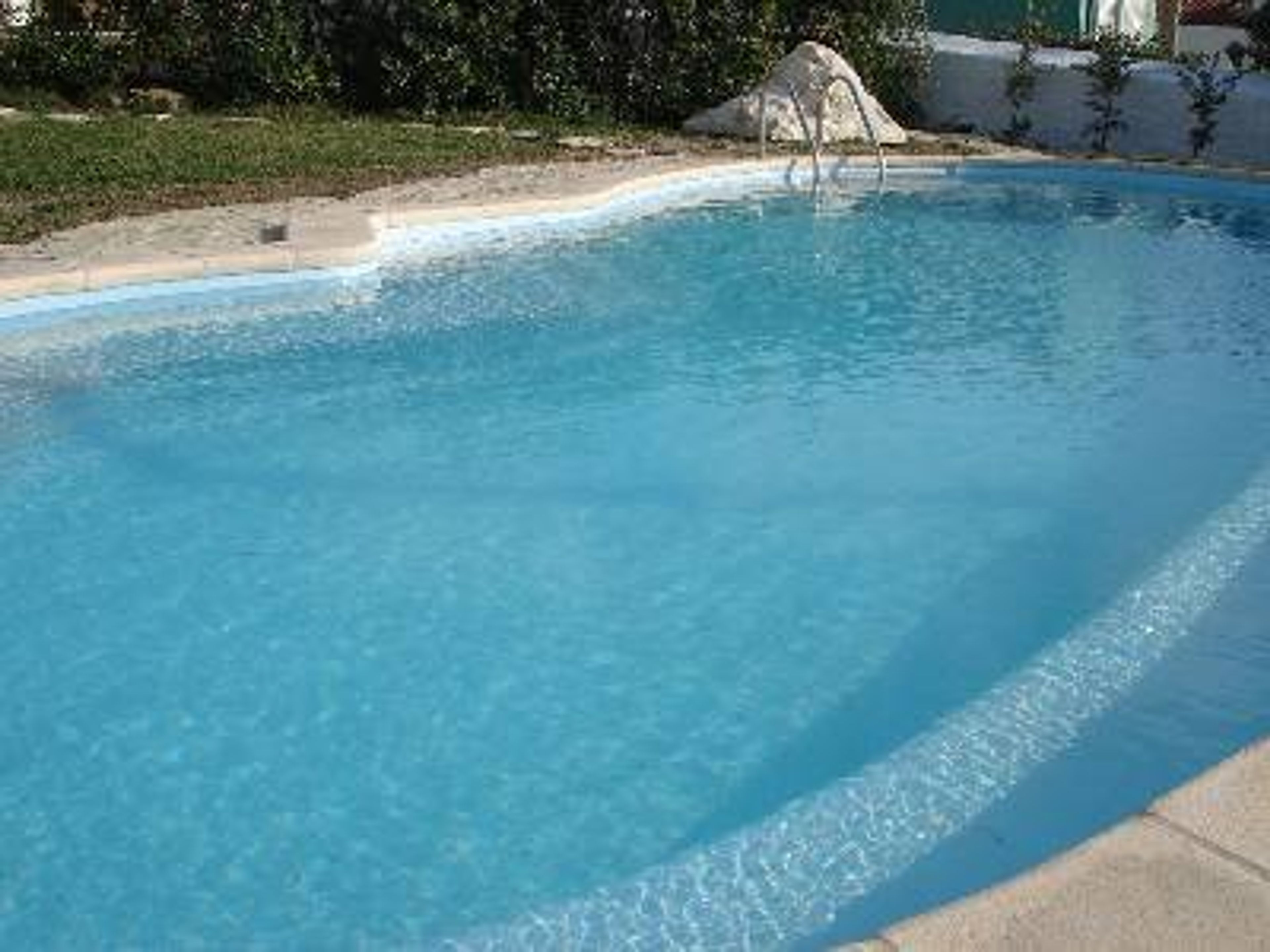 Swiming pool and garden