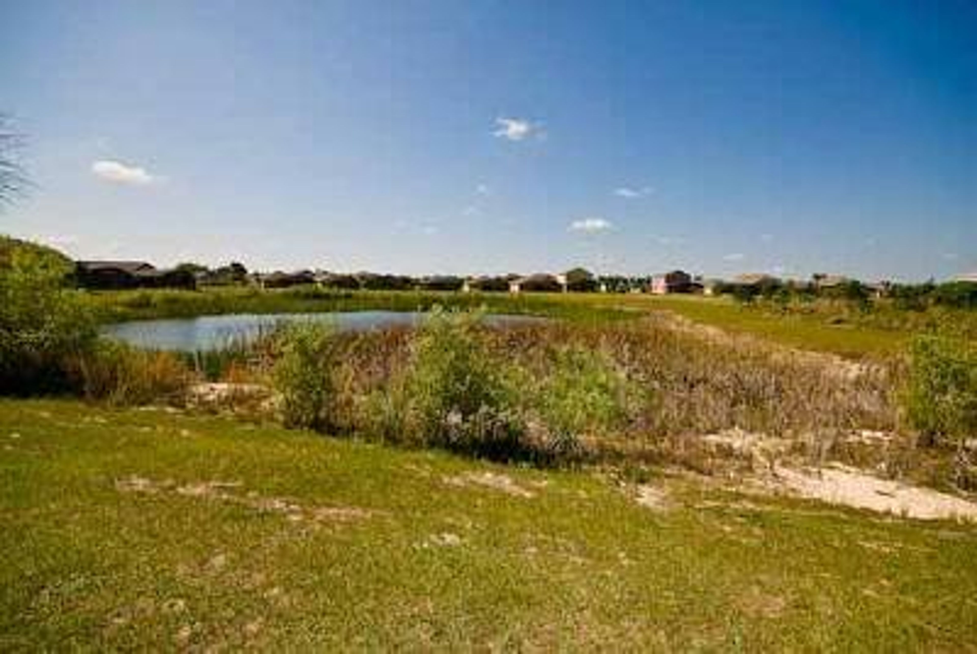 Stunning Lake View - Watch the wildlife go by