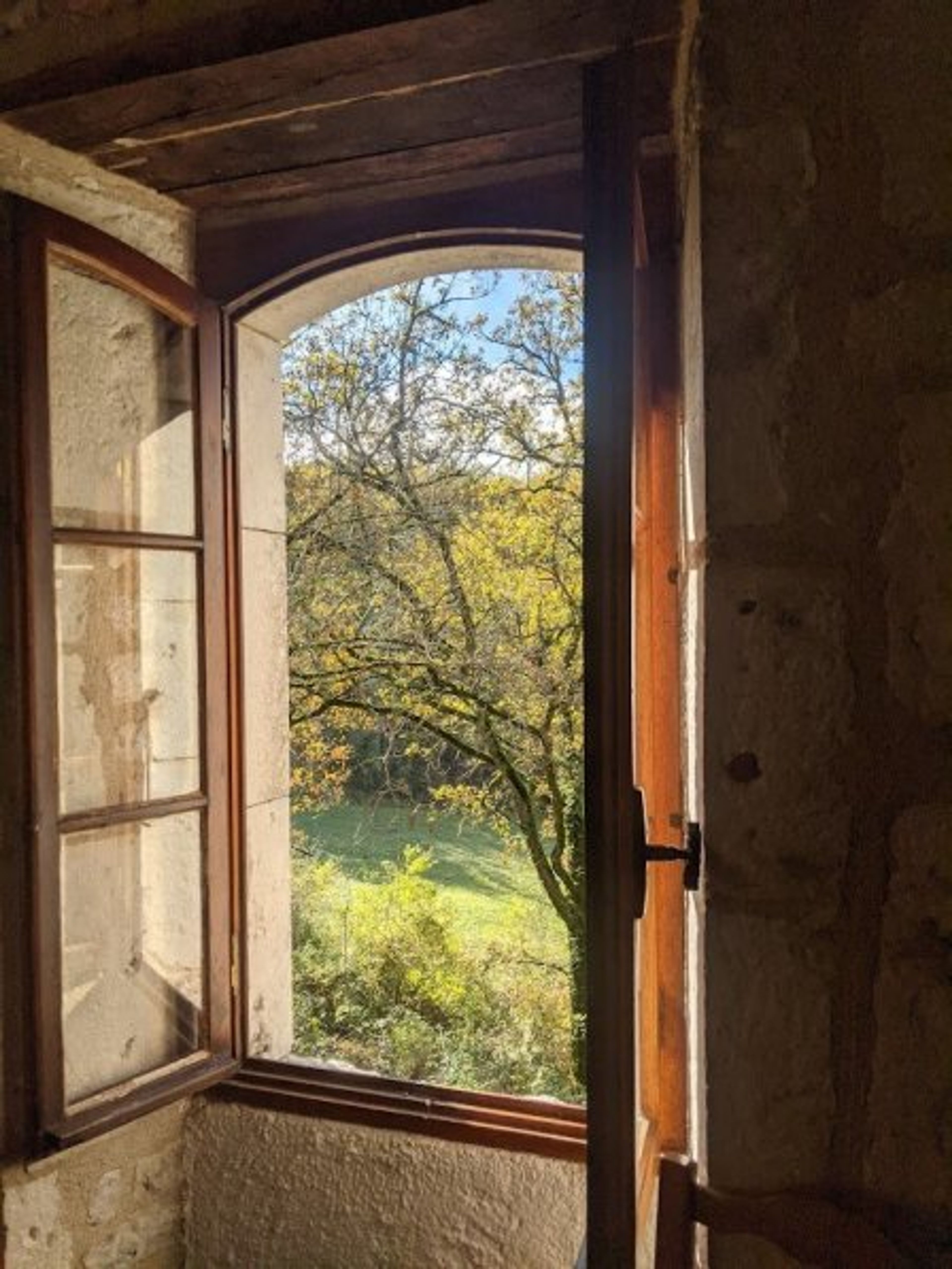 View from the kitchen