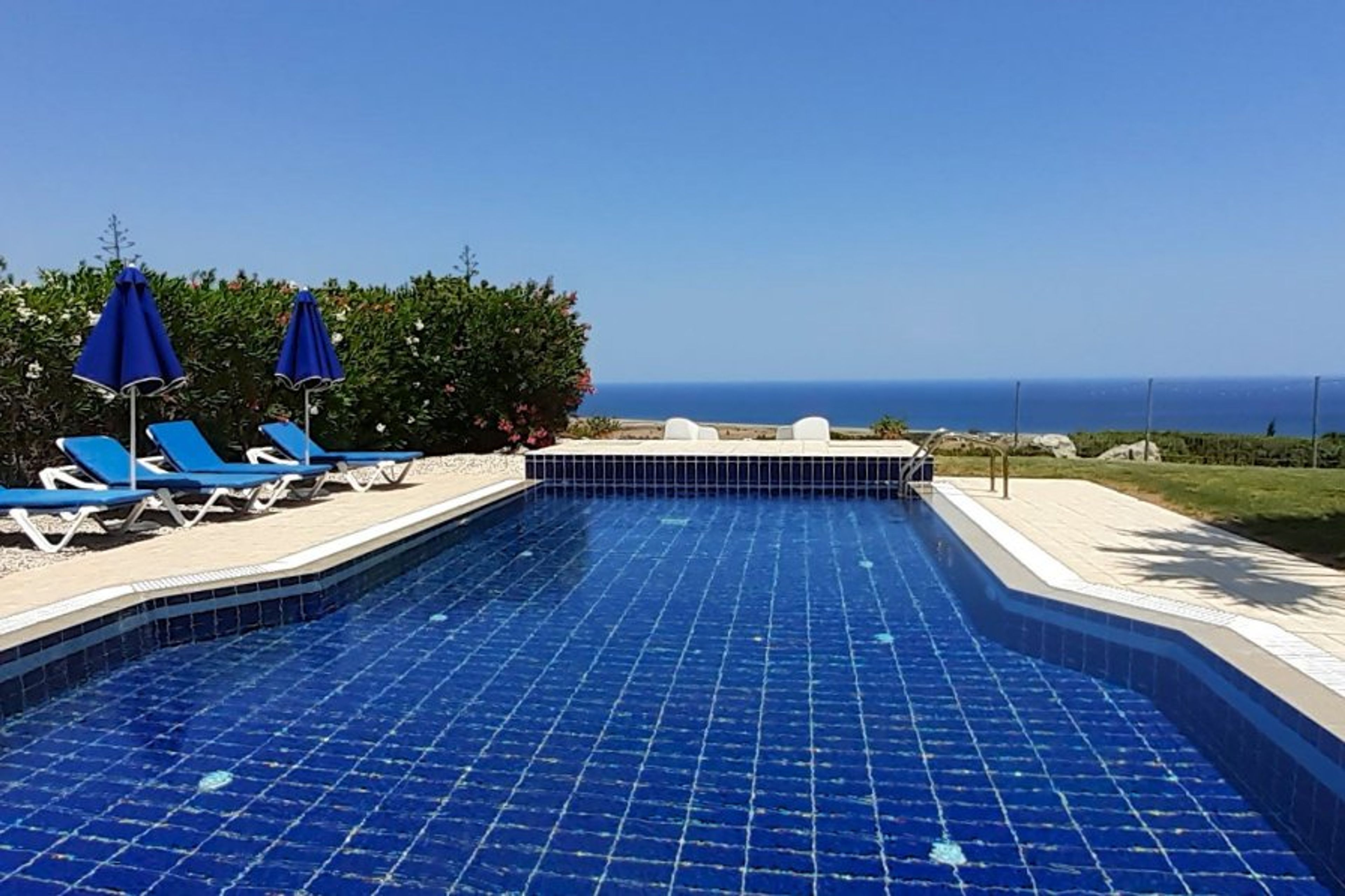 Great size pool 29ft x 16ft