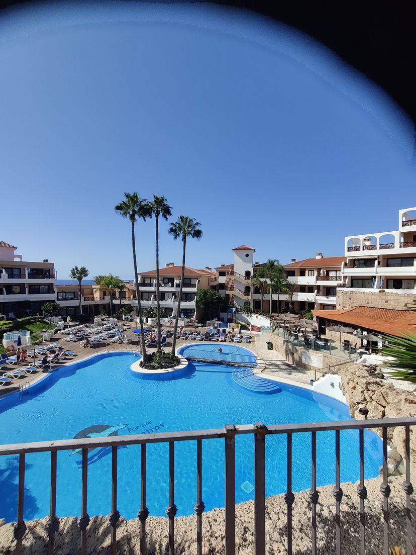 Apartment in Golf del Sur, Tenerife