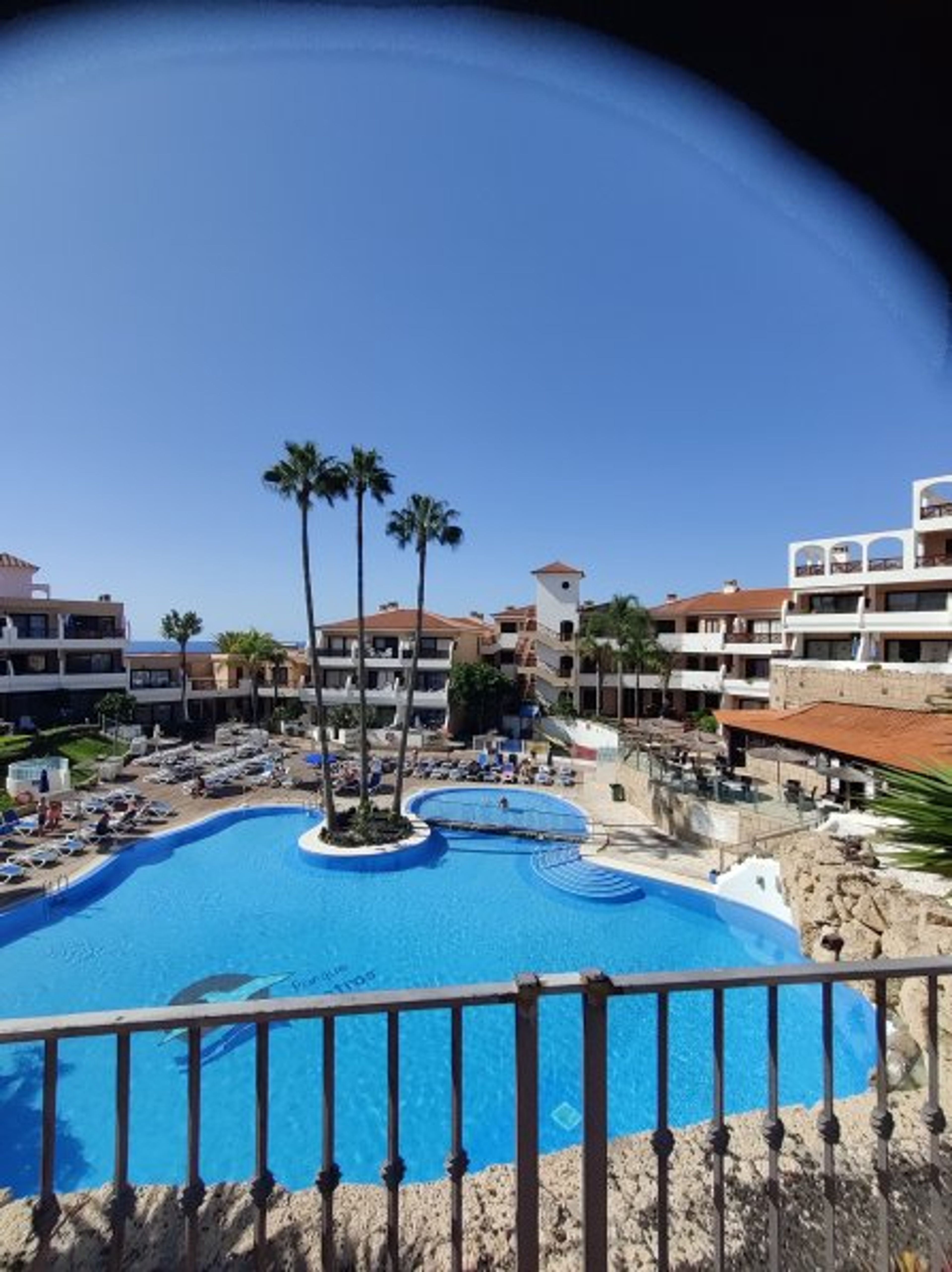 Large Pool