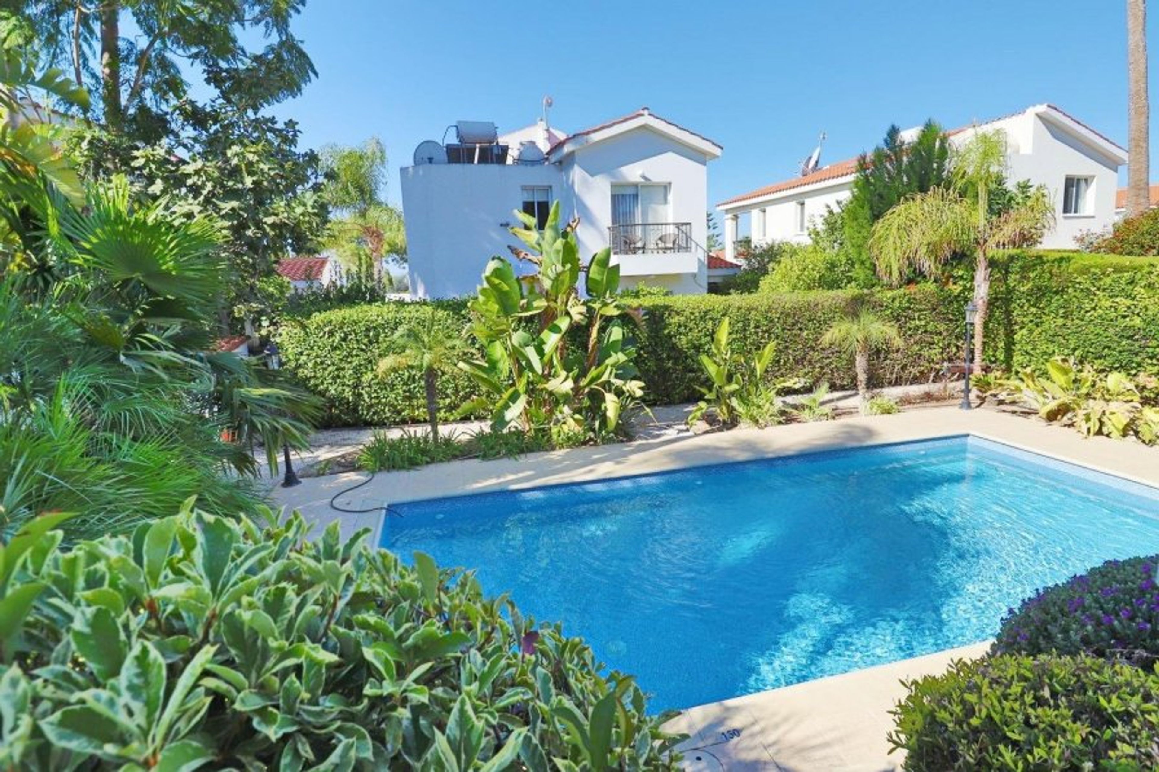In a lush tropical garden
