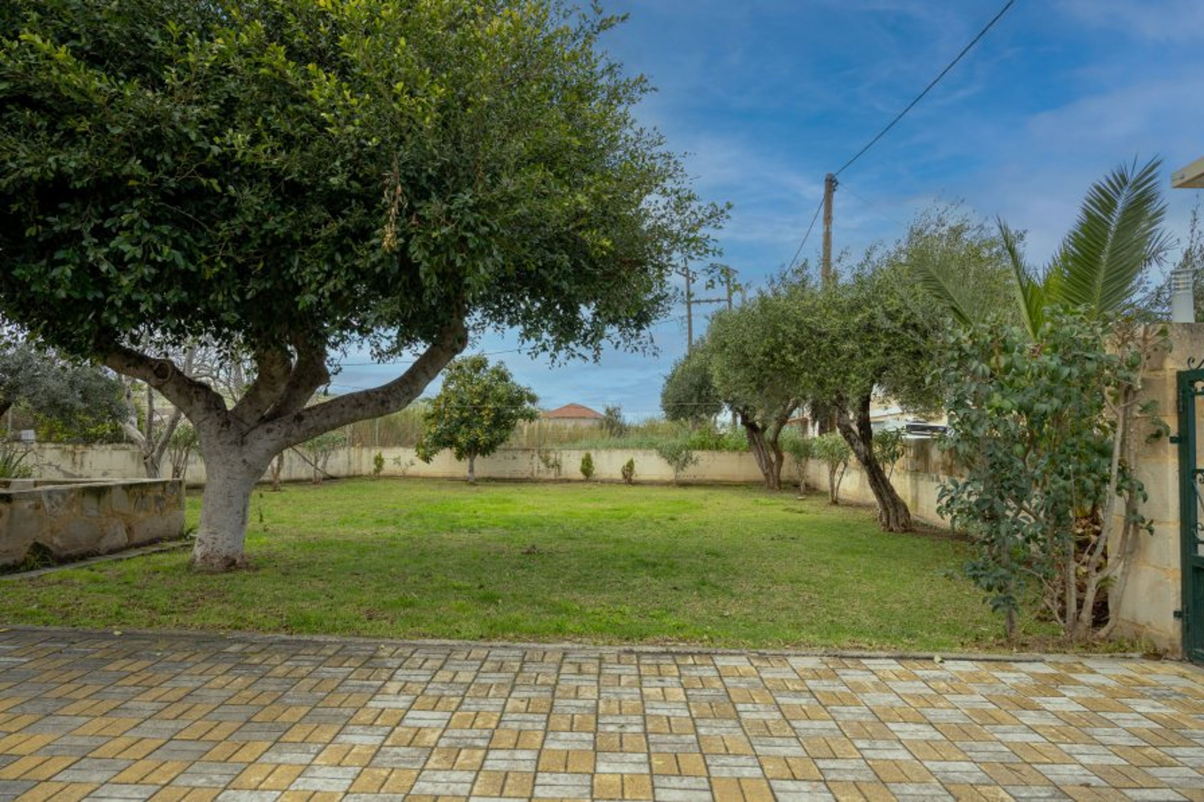 garden