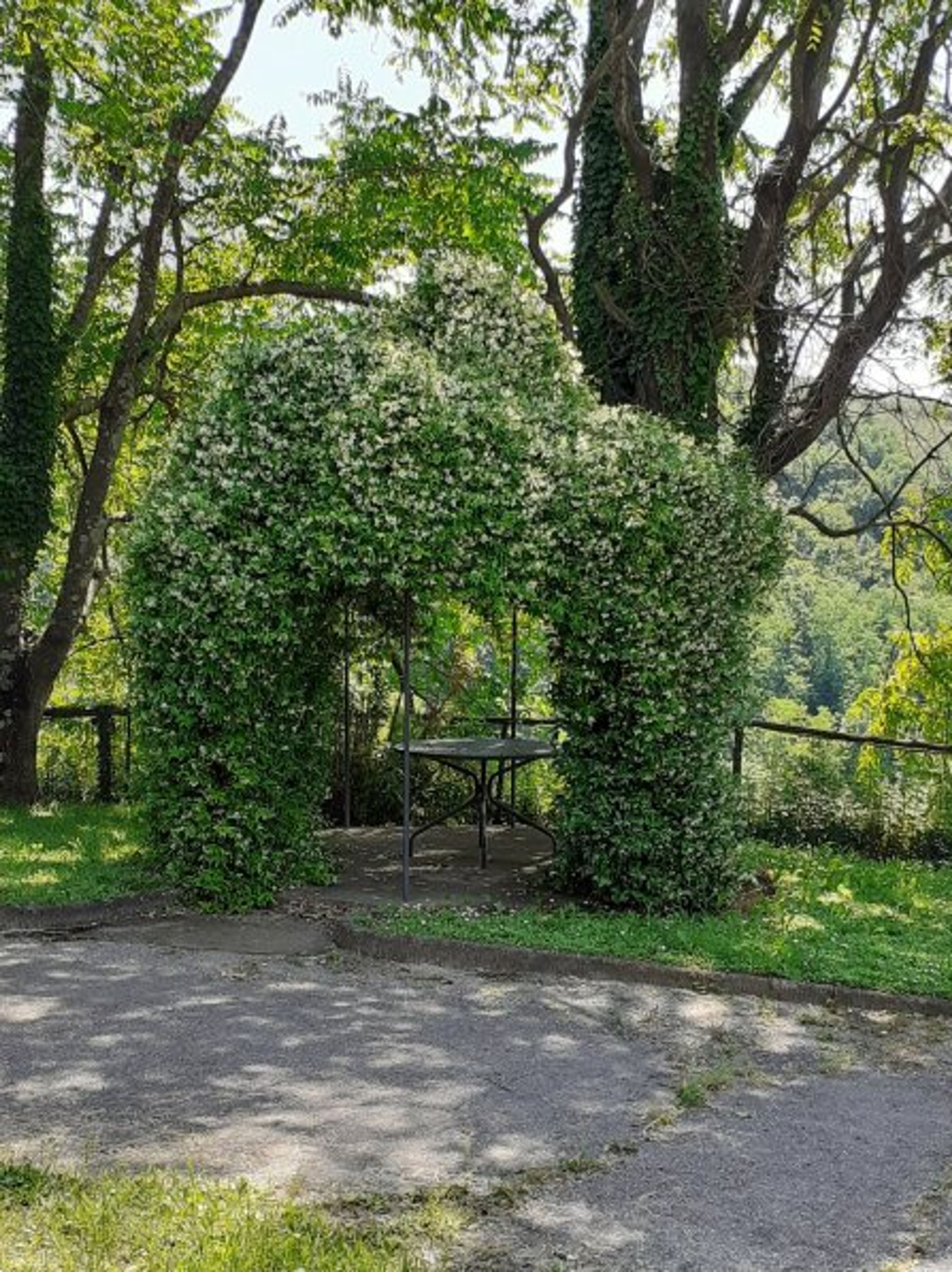 the gazebo