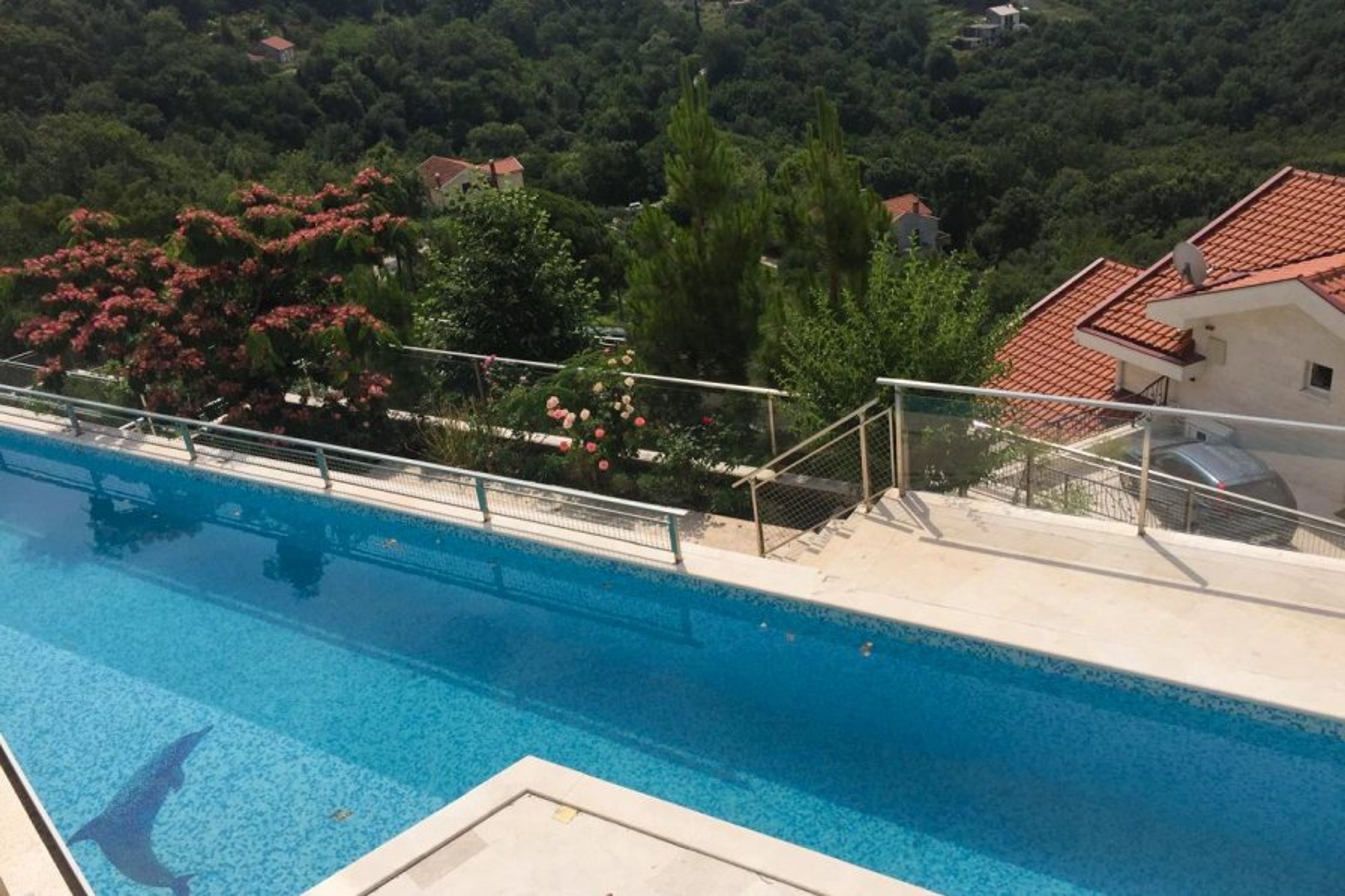 The pool 