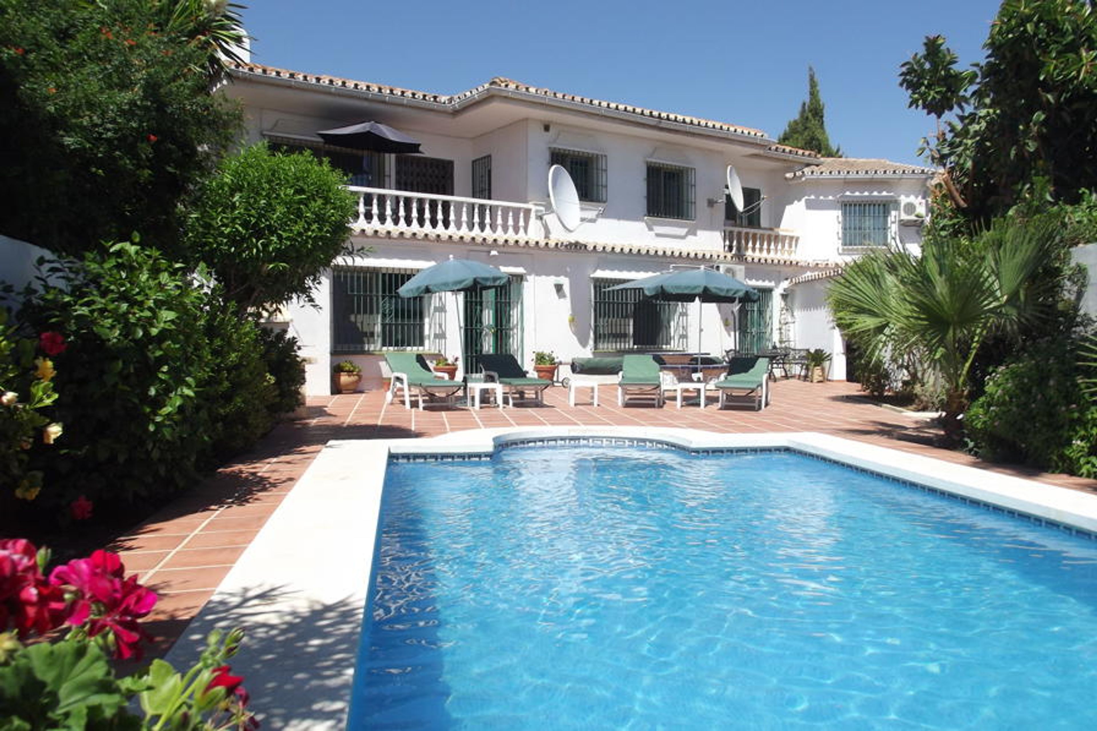 Pool and rear terrace