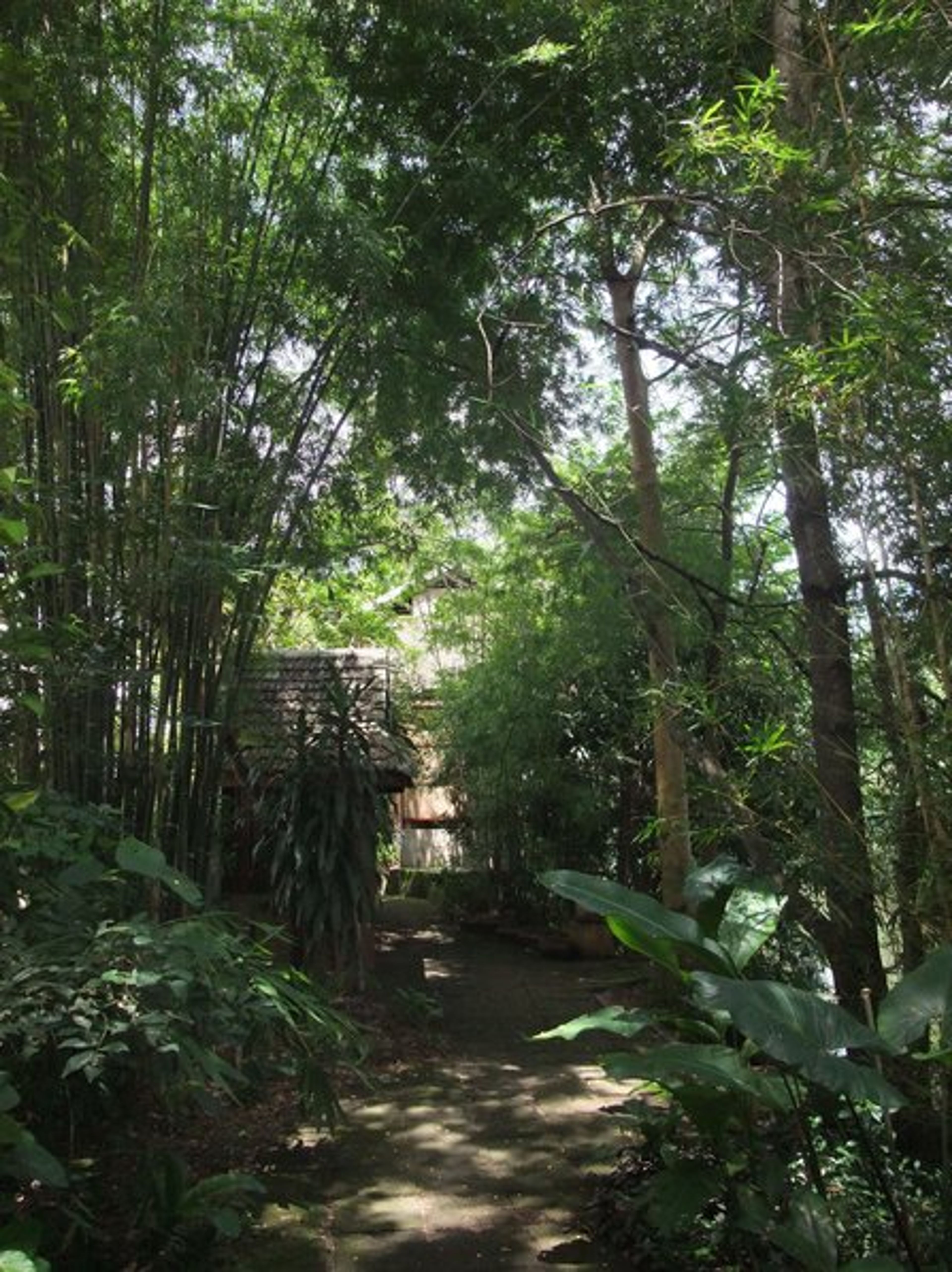 Pathway to the Tai Saeng Chan Pavilion