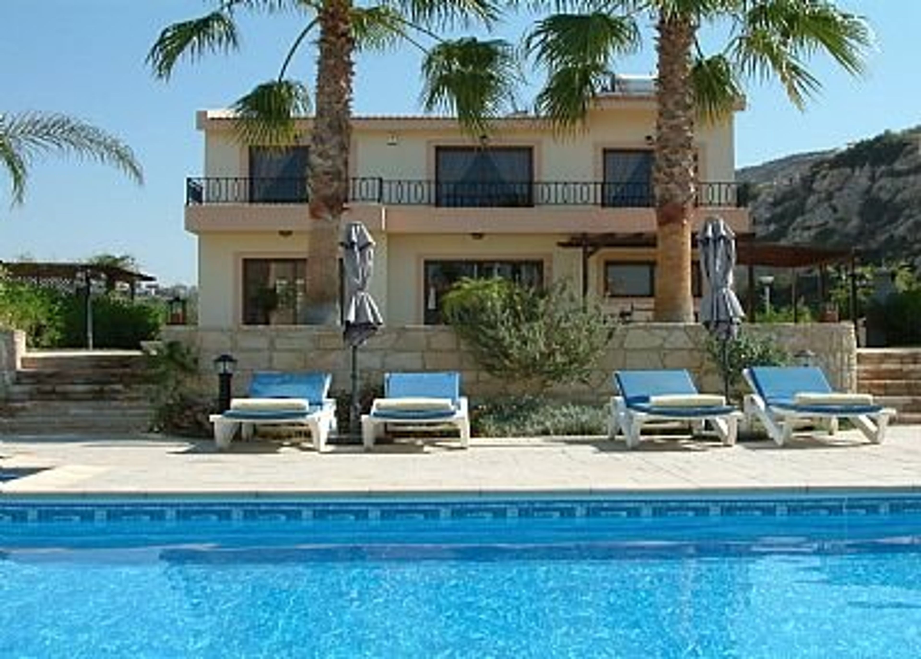 Private garden with palm trees