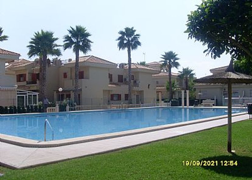 Apartment in Playa Flamenca, Spain: apartments pool