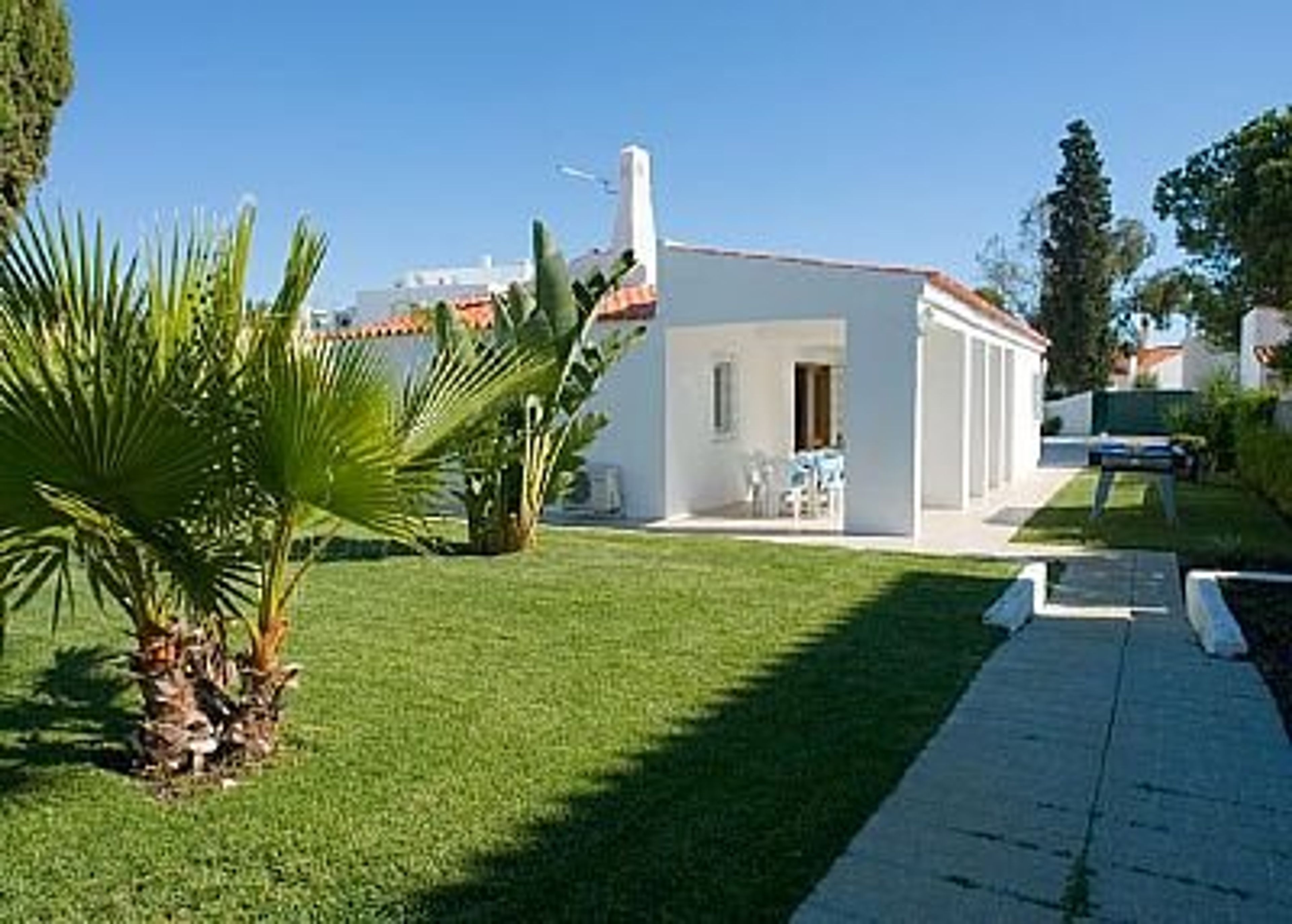 Mature garden and lawn area