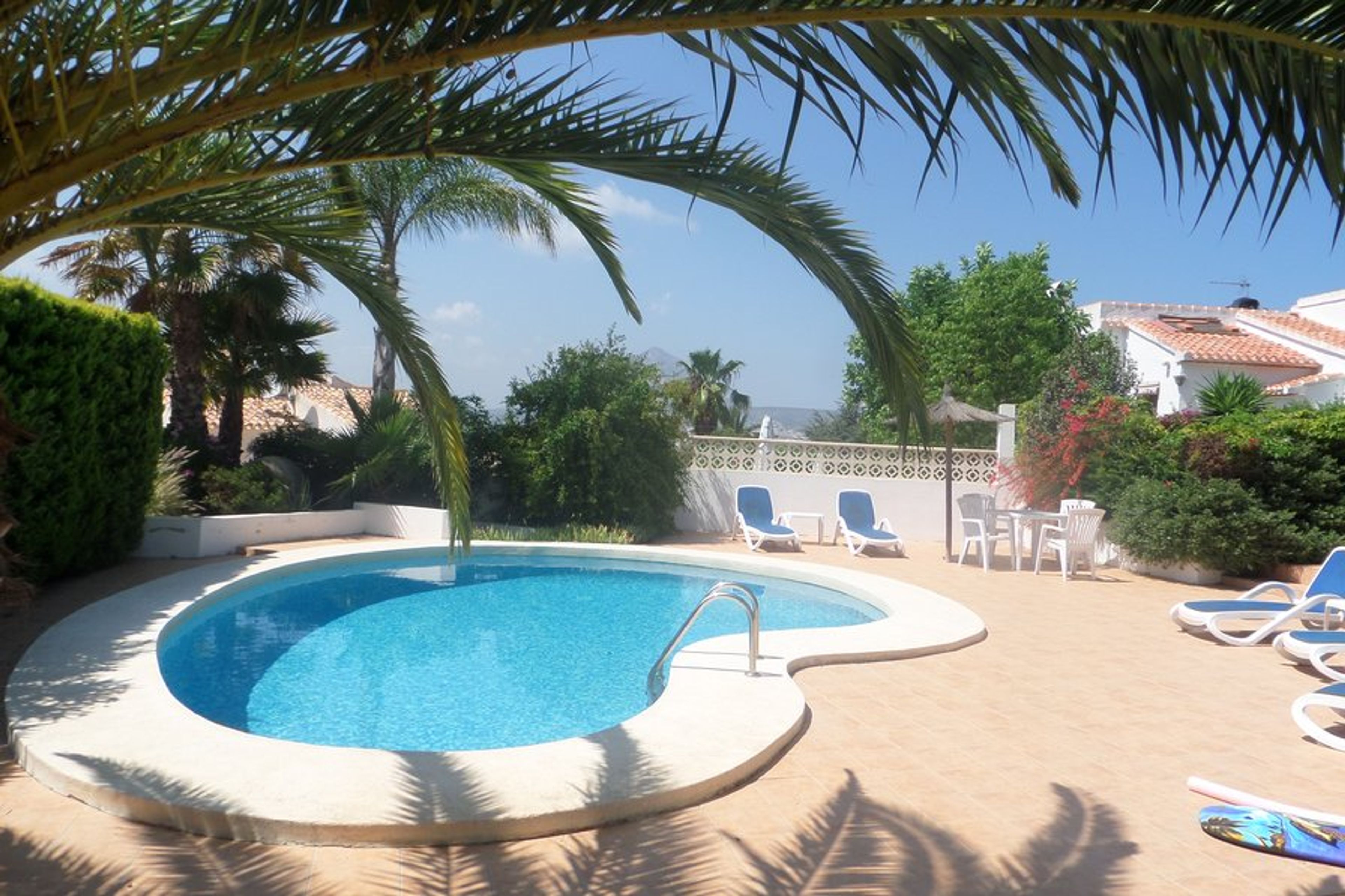 Beautiful private pool, with stunning palm tree & comfortable loungers