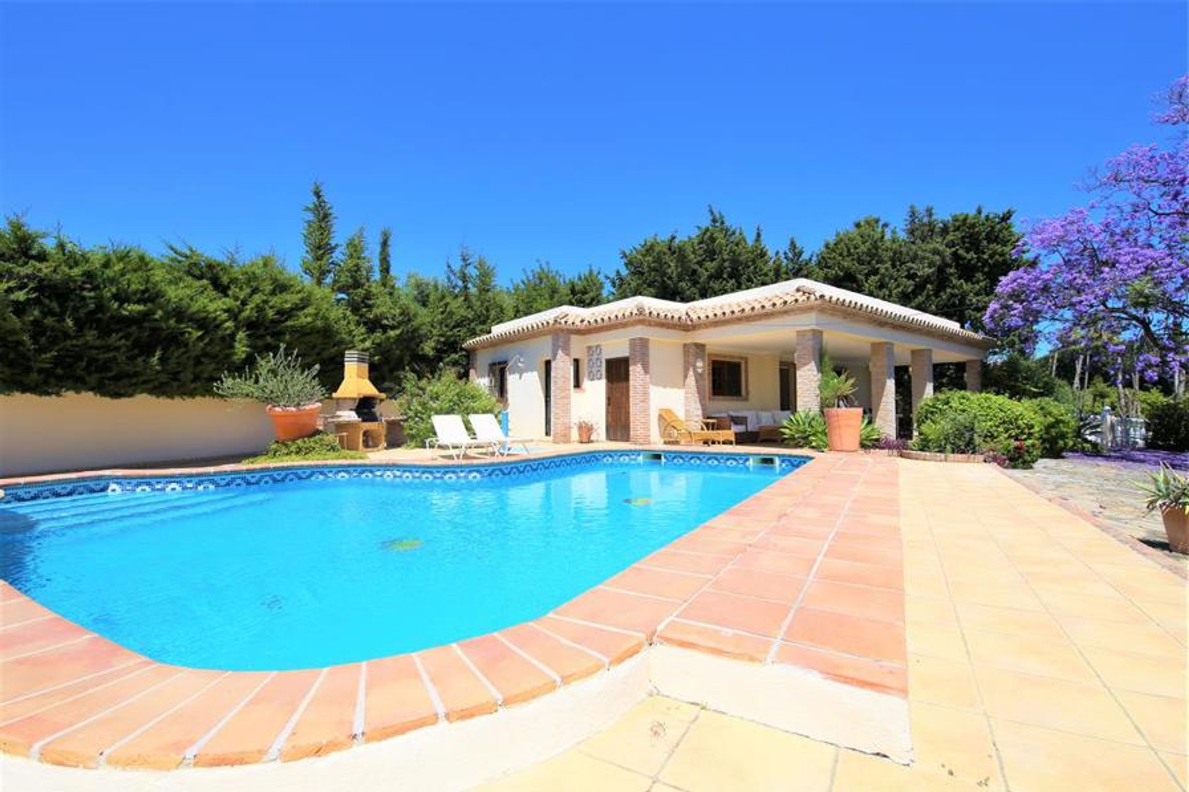 Villa has pool to the side with citrus fruit trees
