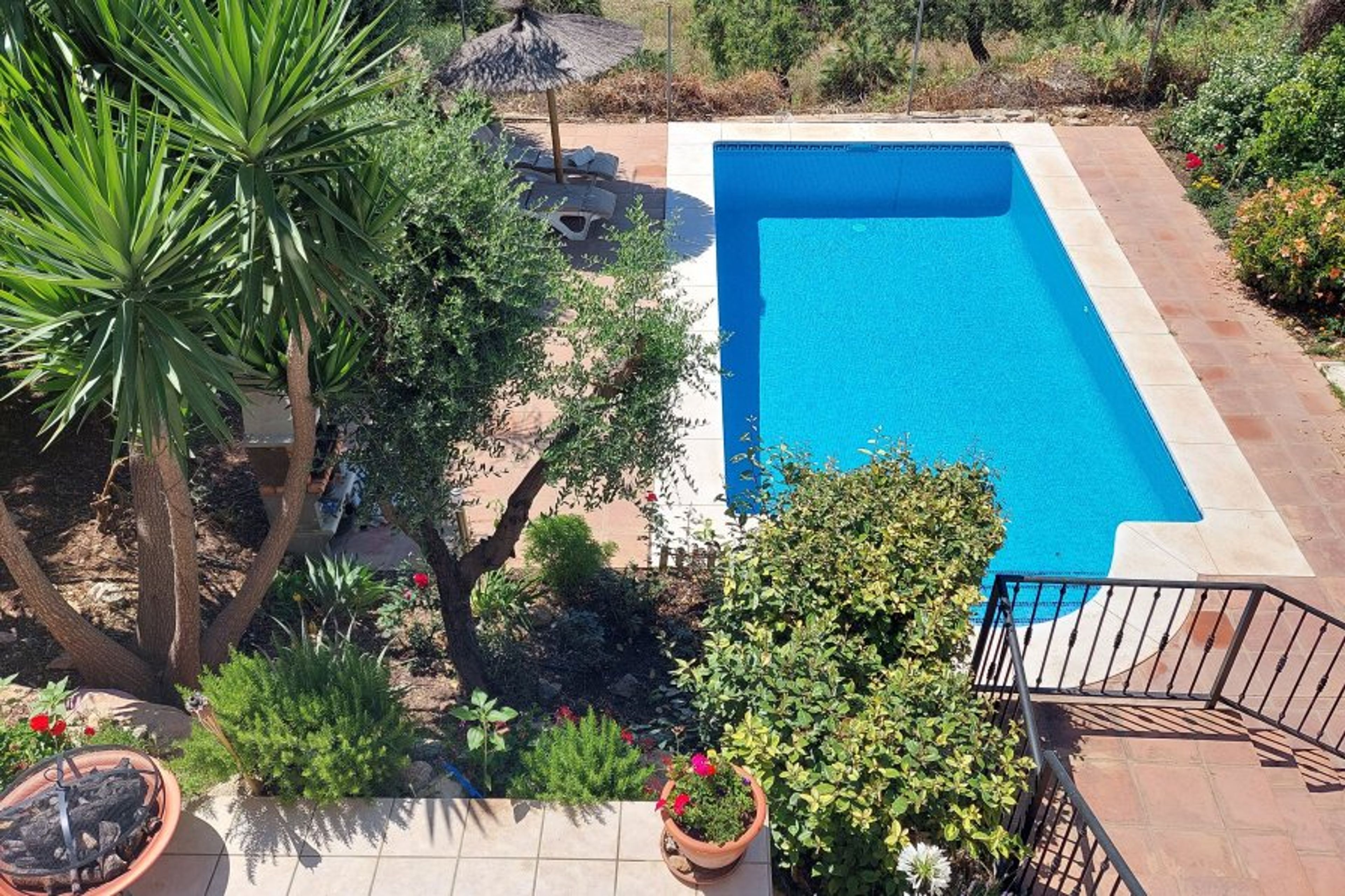 Pool from above