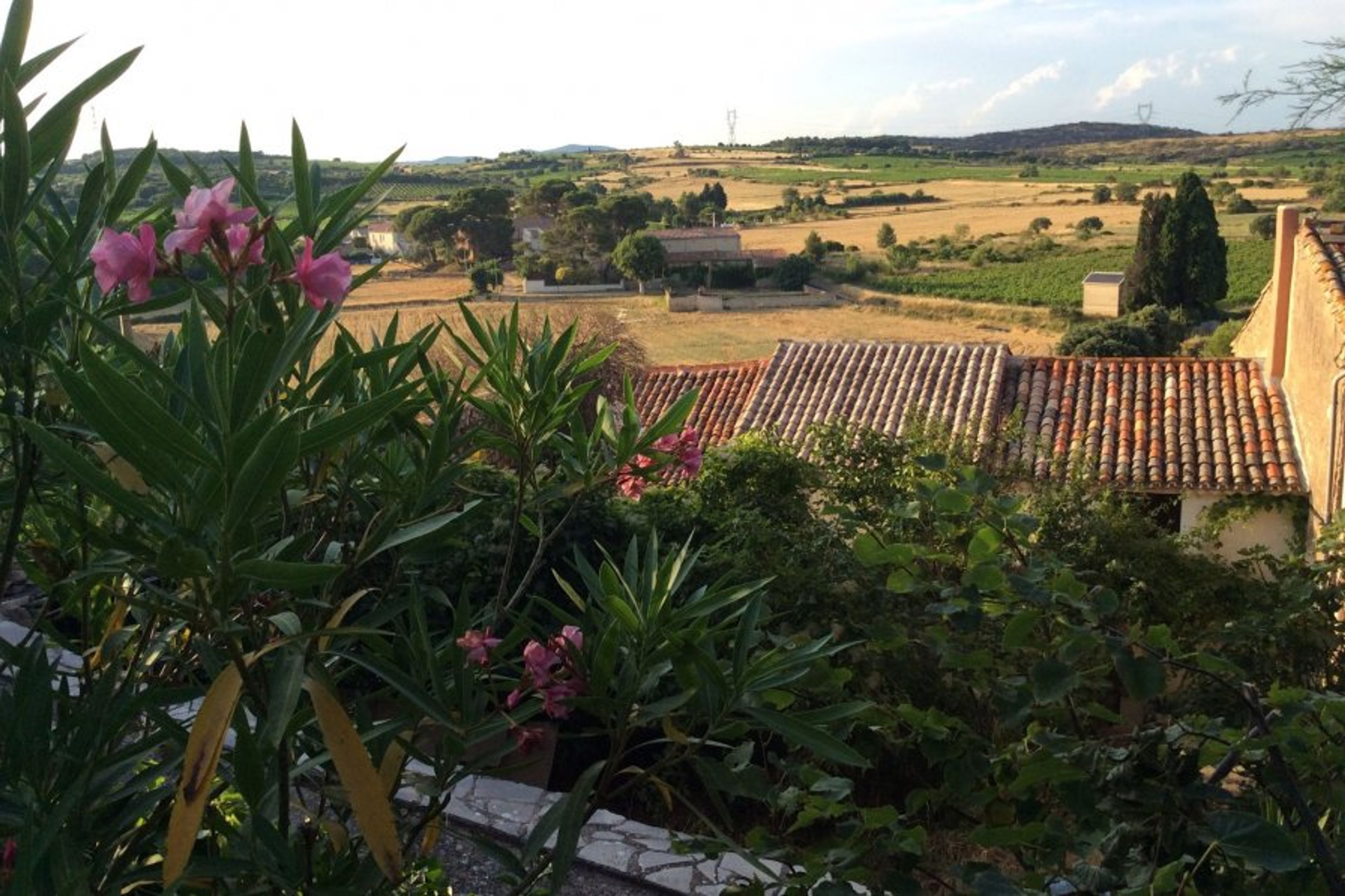 View from dining area on terrace over rooftops, vineyards and rye.