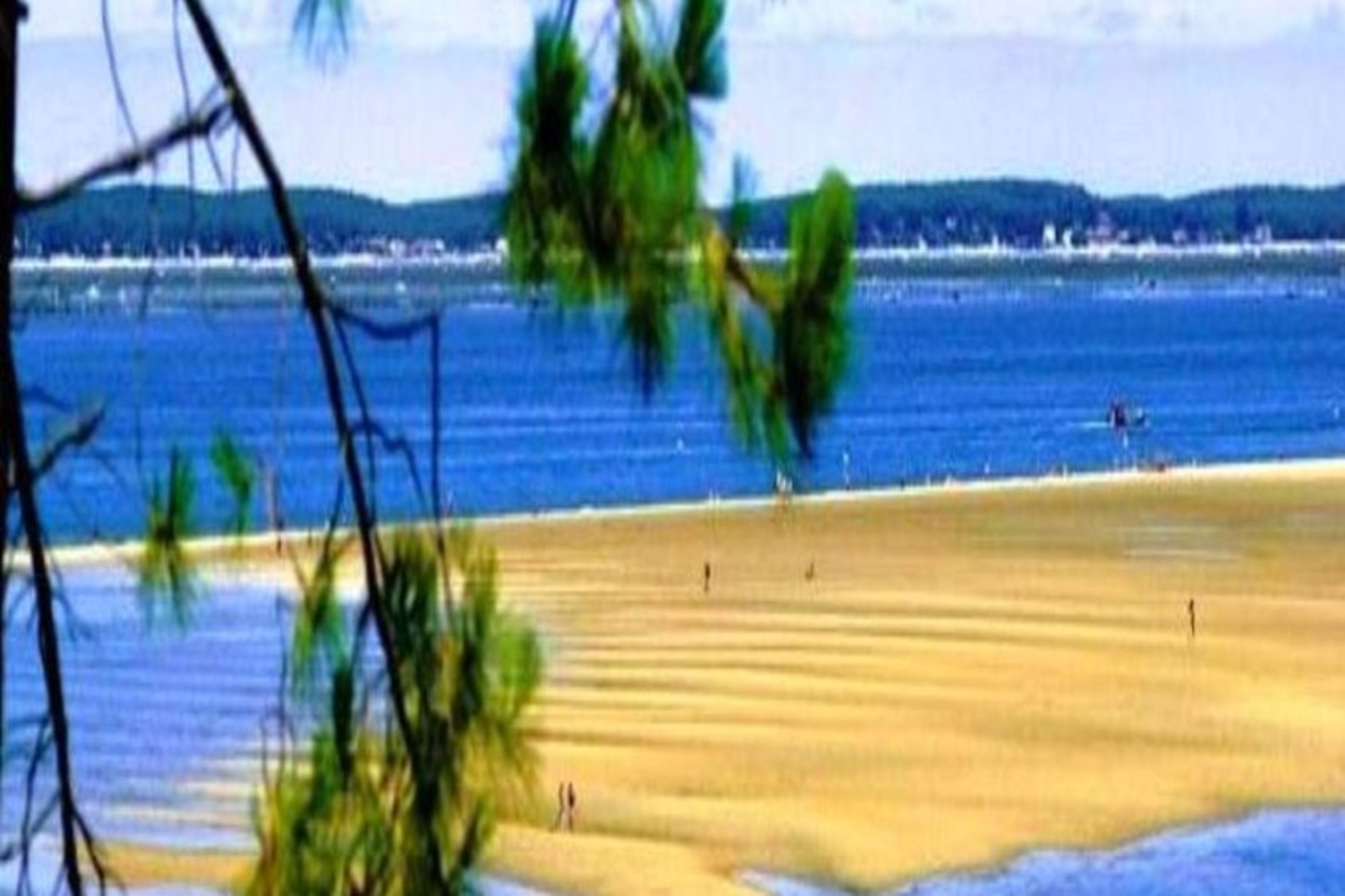 Local beach