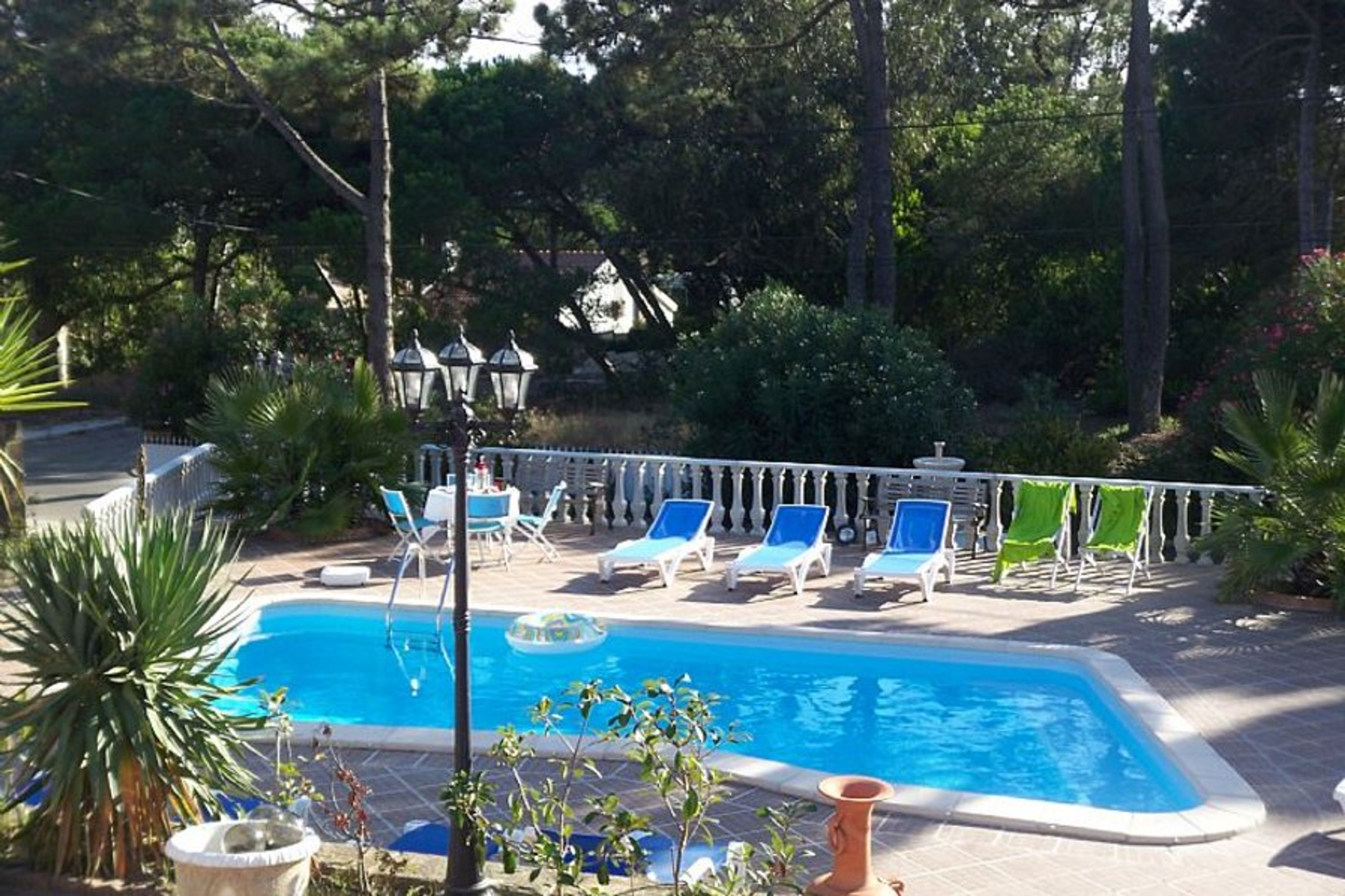 Garden and Swimming pool