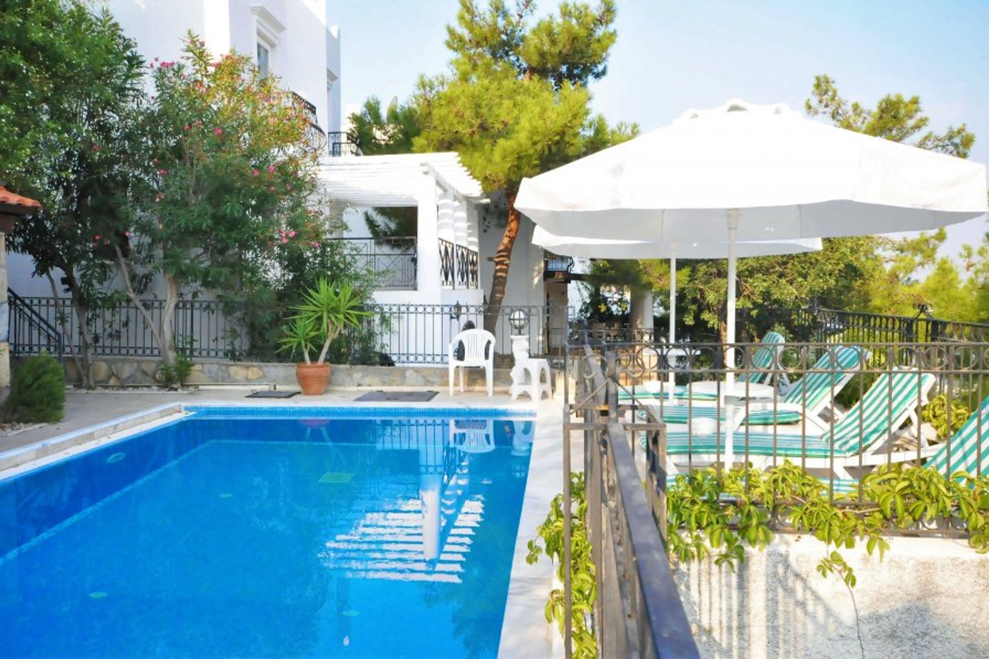 Down by the cool of the pool..